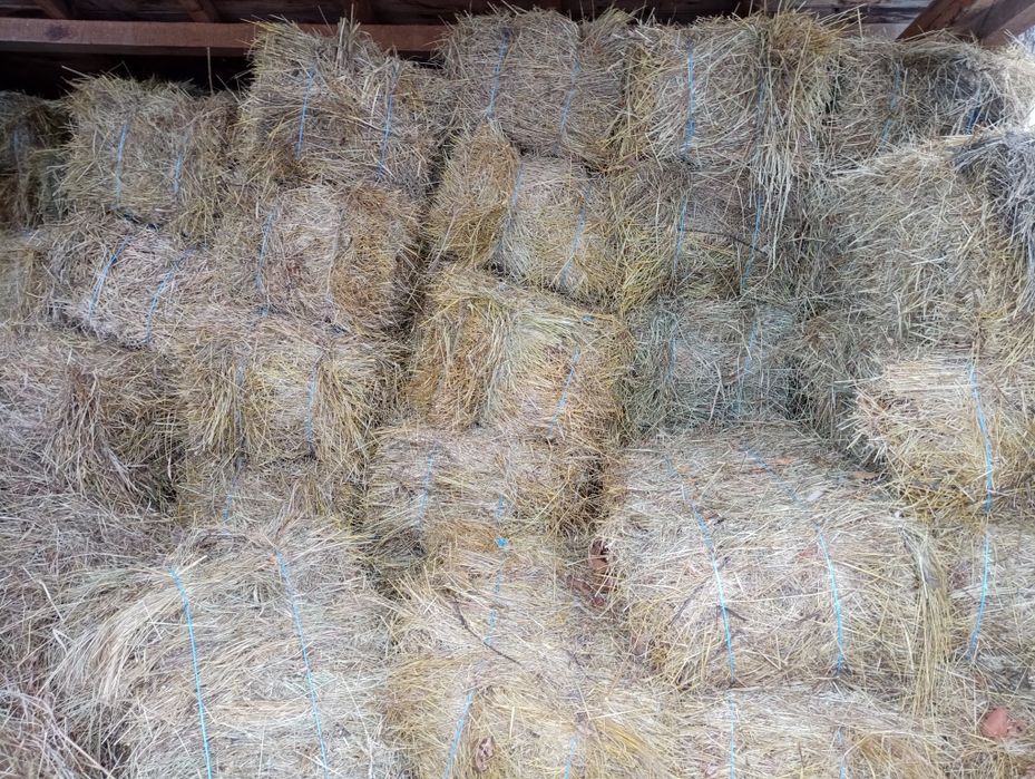 Baloti din fan si iarba