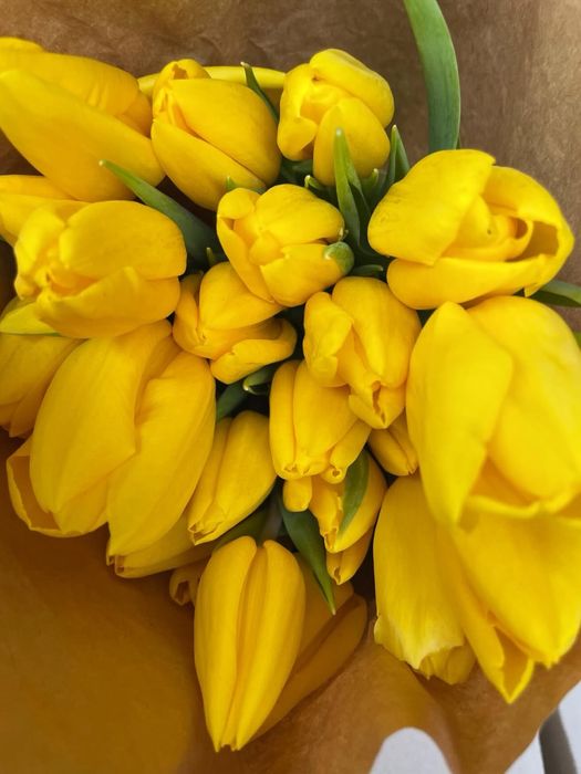 Тюльпандар 700тг