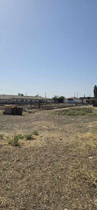 Кибрай 4.гек,биноси билан