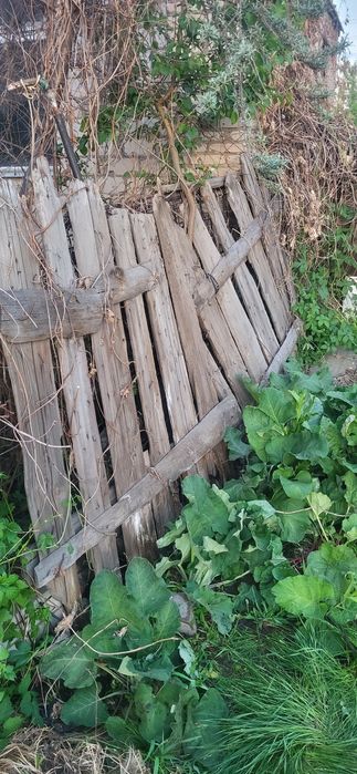 Дрова бесплатно. Самовывоз саморазбор