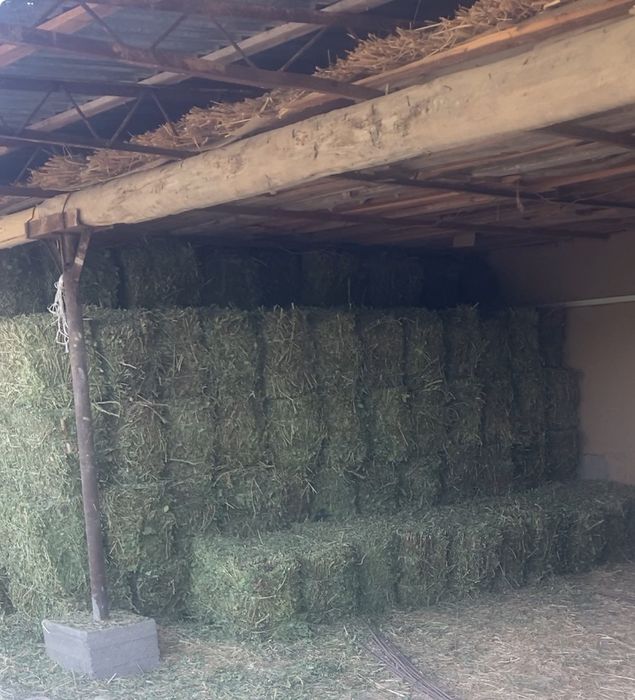 Беда, Сомон, Пичан, Ер ёнгок, Мош пресс,Янток,