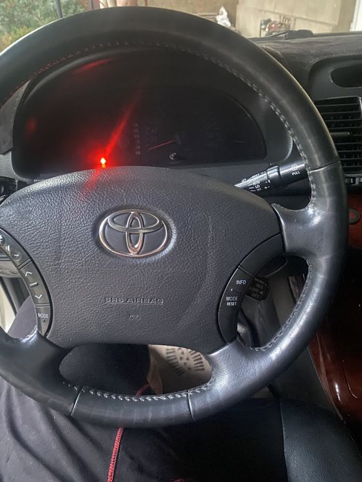 Продам европейку таету