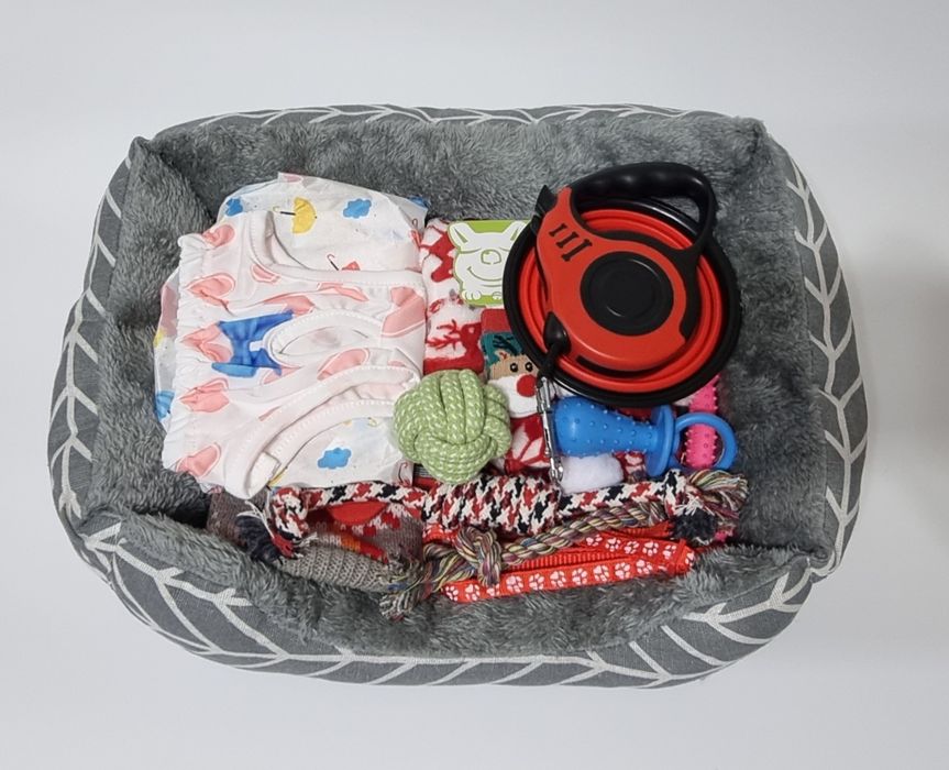 Набор для маленькой собачки