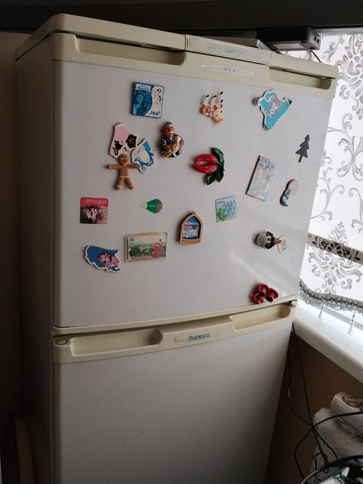 Холодильник Бирюса (Россия)