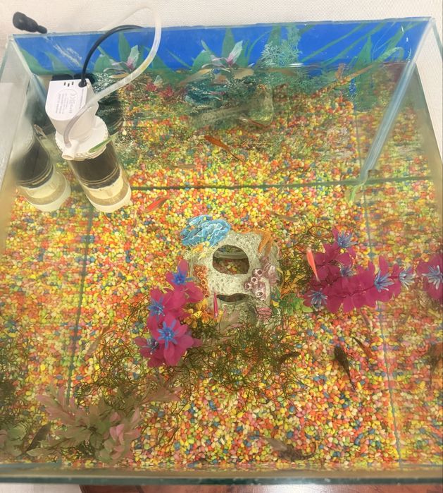 Продам аквариум с рыбами