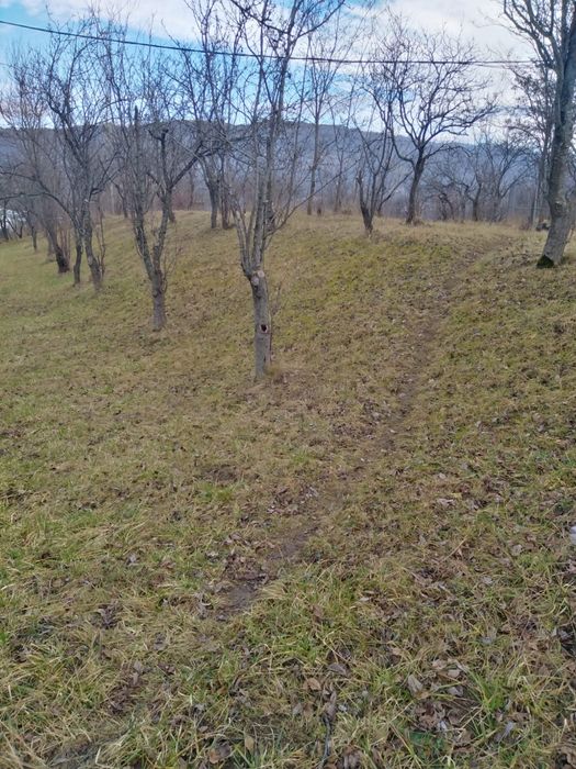 Teren de vanzare in comuna Poienari de Muscel