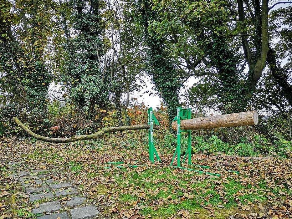 Capra pentru taiat busteni -garantie 20 ani