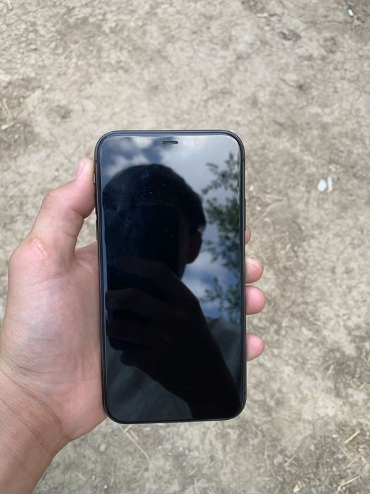 Iphone 11 holati zur