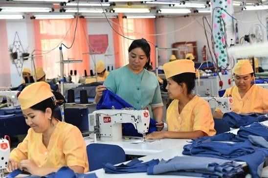 Trekotaj mahsulotlariga buyurtma berish