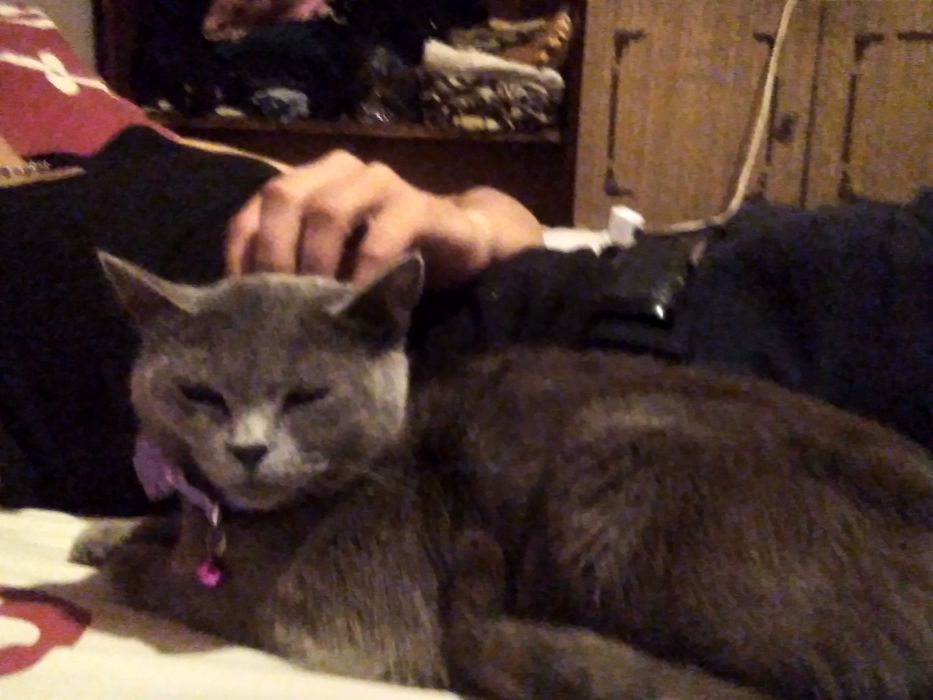 Зотли мушукчала  она бола кизла