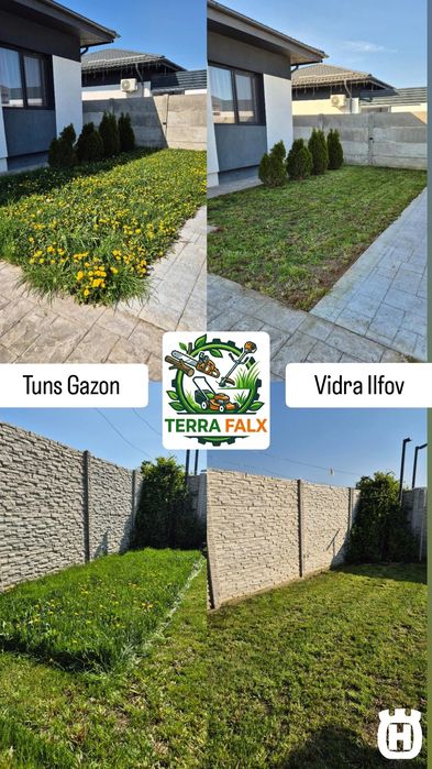 Curățare Teren și Curte, Defrișare, Tuns Iarbă/Gazon/Gard Viu, Toaletare Pomi, Tăiere Copaci, Erbicidare Amenajare Grădina Cosit Iarbă Grădinărit