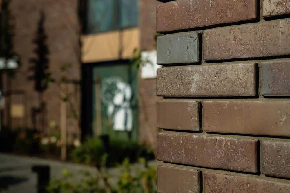 Тайга юг Марион ликолор