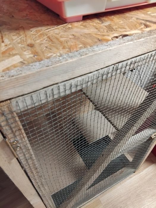 Cușcă animale sau păsări ( colivie )