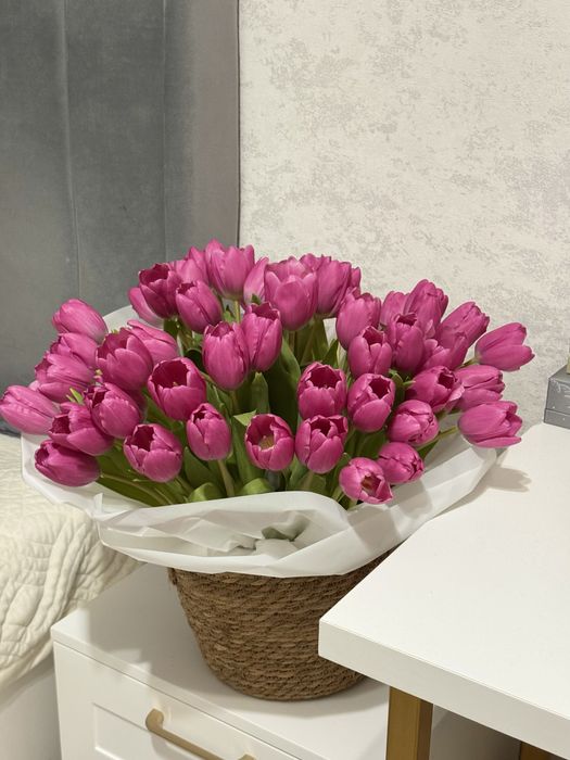 51 тюльпан в кашпо