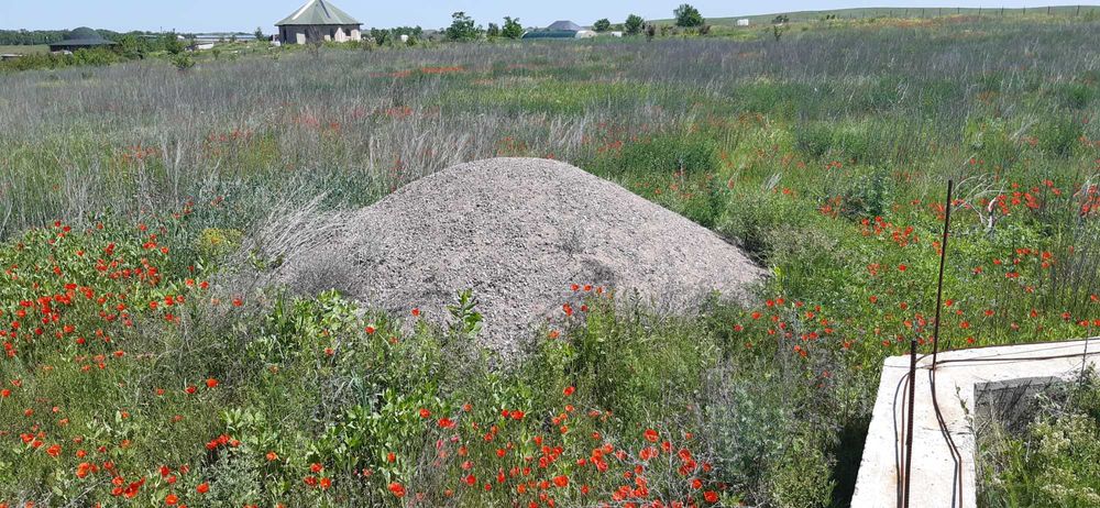 стройматериал, лес, сникерс