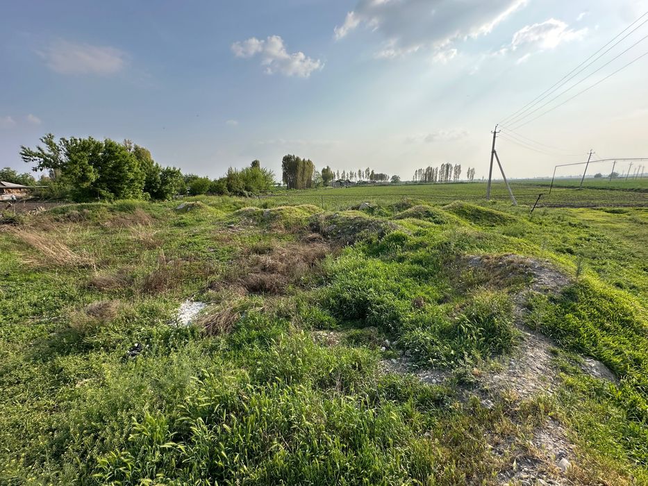 Ер, Бизнес учун, Ўрта-Чирчиқ, Учхоз Киров, Аранши, Нотурар, Ўзимники