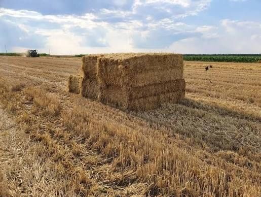 Vând Baloți de Paie DOLJ