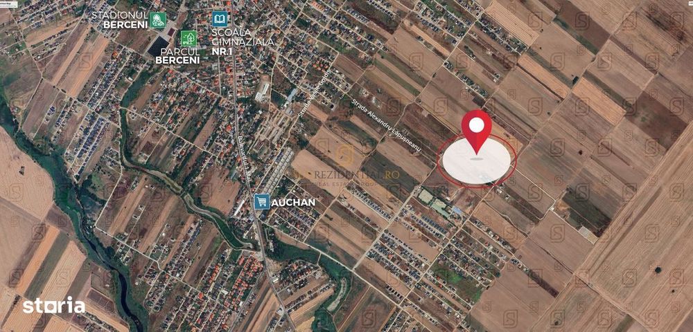 Tere intravilan, 500 mp, str Buchetului, comuna Berceni, Ilfov