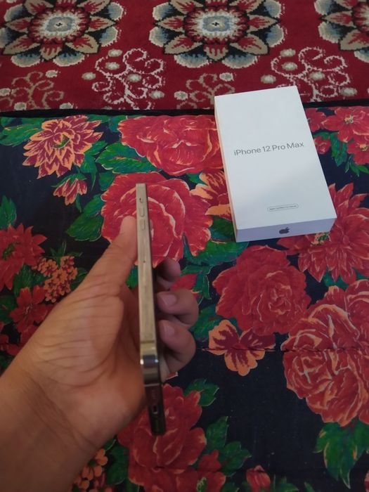 Iphone 12 pro max