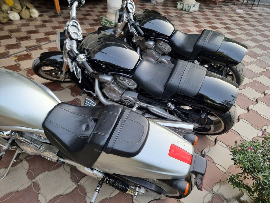 Harley-davidson night rod