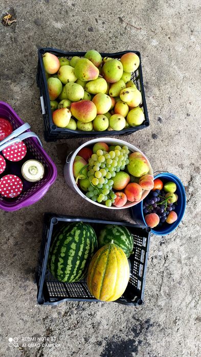 Овощна градина с пчелен