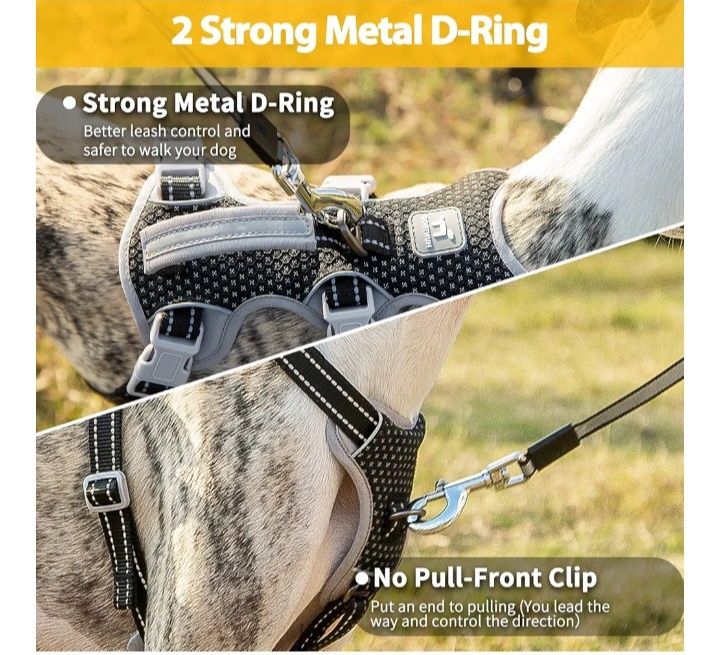 Кучешки нагръдник