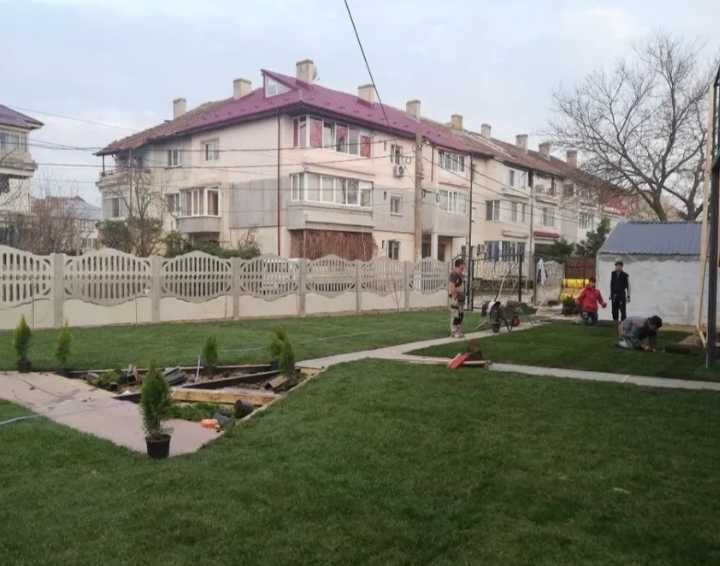 Gazon Rulou Calitate extra