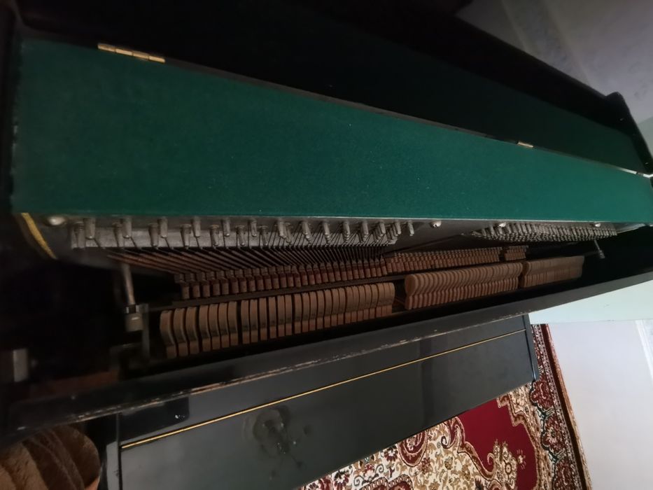 Пионино Белорусь