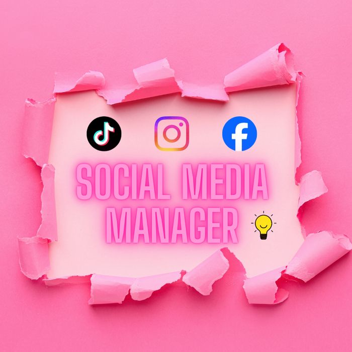 Social Media Manager | TikTok, IG, FB