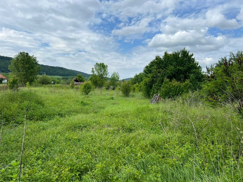 Vand Casa in Revetiș, judetul Arad, teren 2880 mp, fantanta + curent