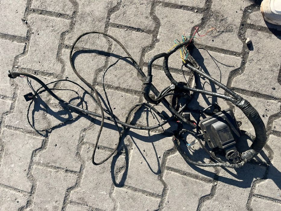 Гбо бу , stag польша