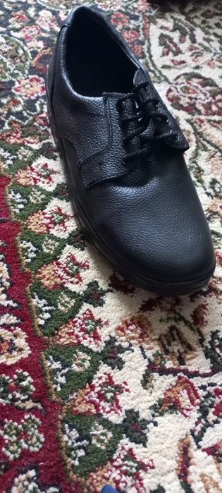 Makasima Salanandra.Саламандра сифати зор