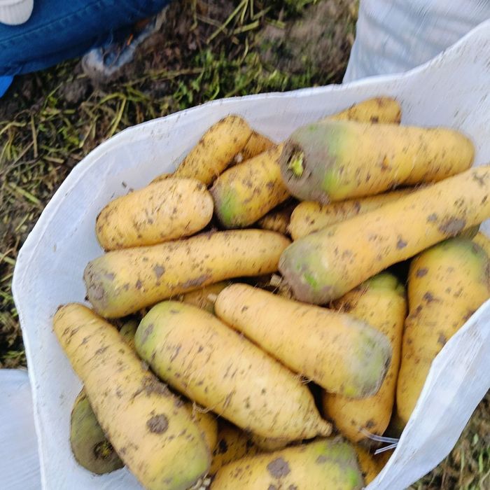 Sabzi uruģi sotiladi