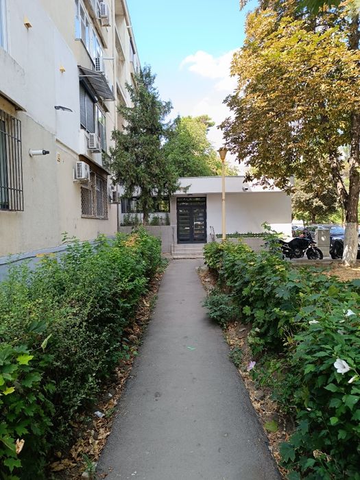 Studio de închiriat