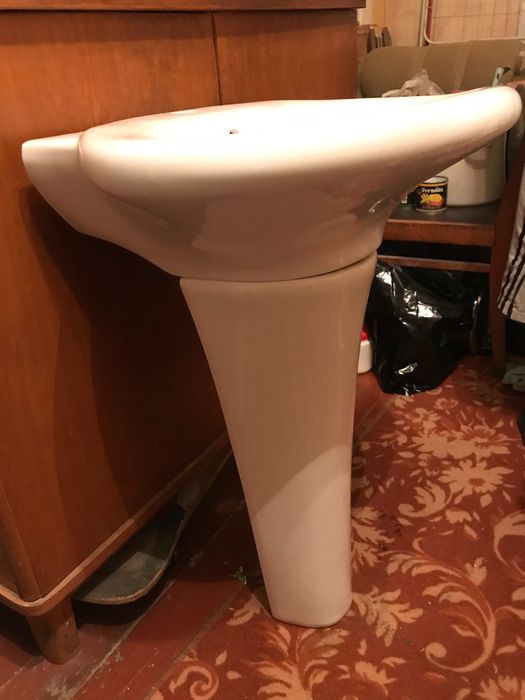 Раковина тюльпан