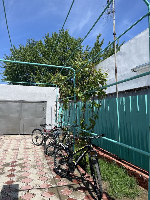 3 велика спортивные