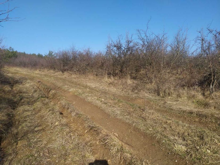 Продава се Земеделски имот в с. Войнежа, Област Велико Търново -  кв.м за 738 €/дка - Снимка #7