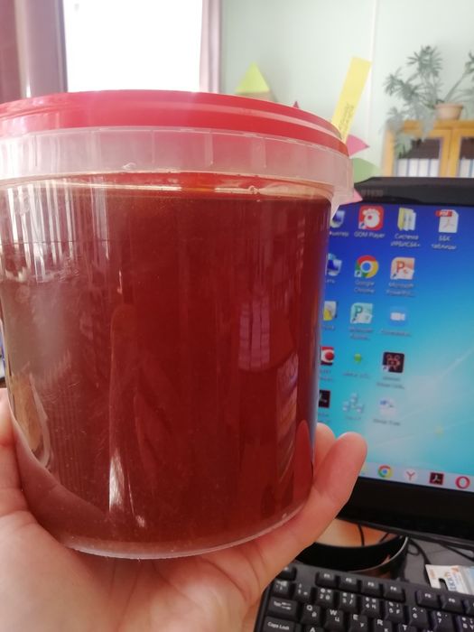 Продам свежий мед (разнотравие)