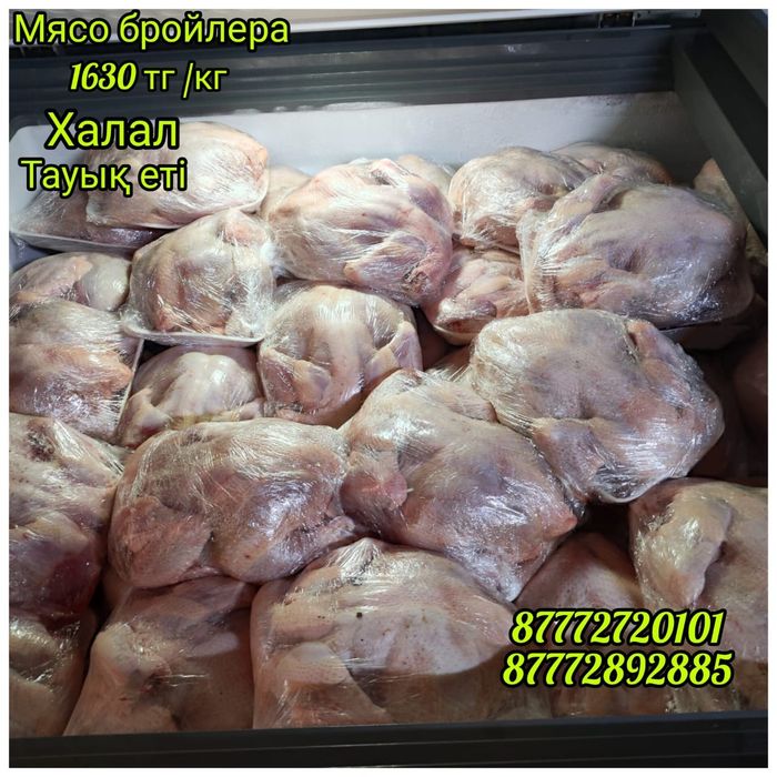 Бройлер мясо құс еті