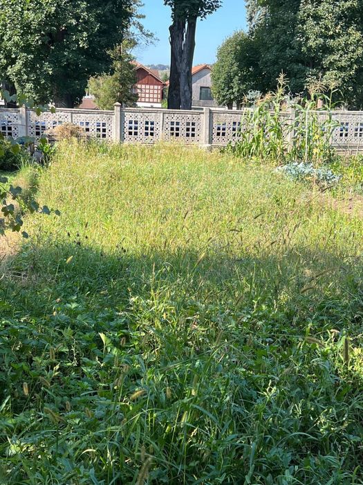 Apartament la vila , Gura Campului