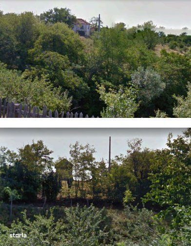 Casa 60 MP + Anexe + Teren 5542 MP - GODEANU