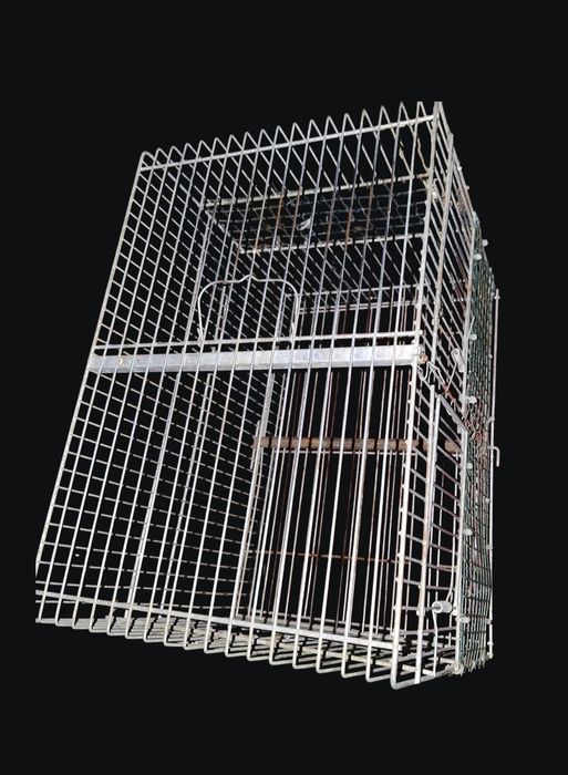 Colivie 501 pentru canari , zebre  sau alte pasari de colivie