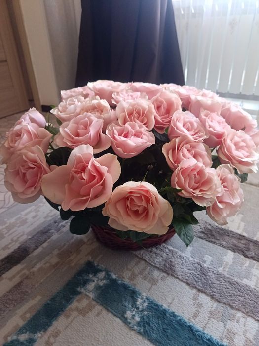 Кустовые розы цветы