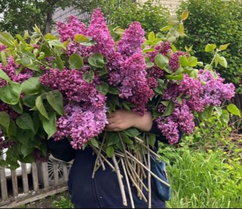 Дачный участок Дача Гудок