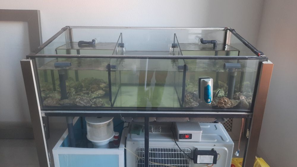 Чистка аквариумов Атырау