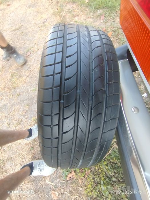 Bars balon razmer 16
