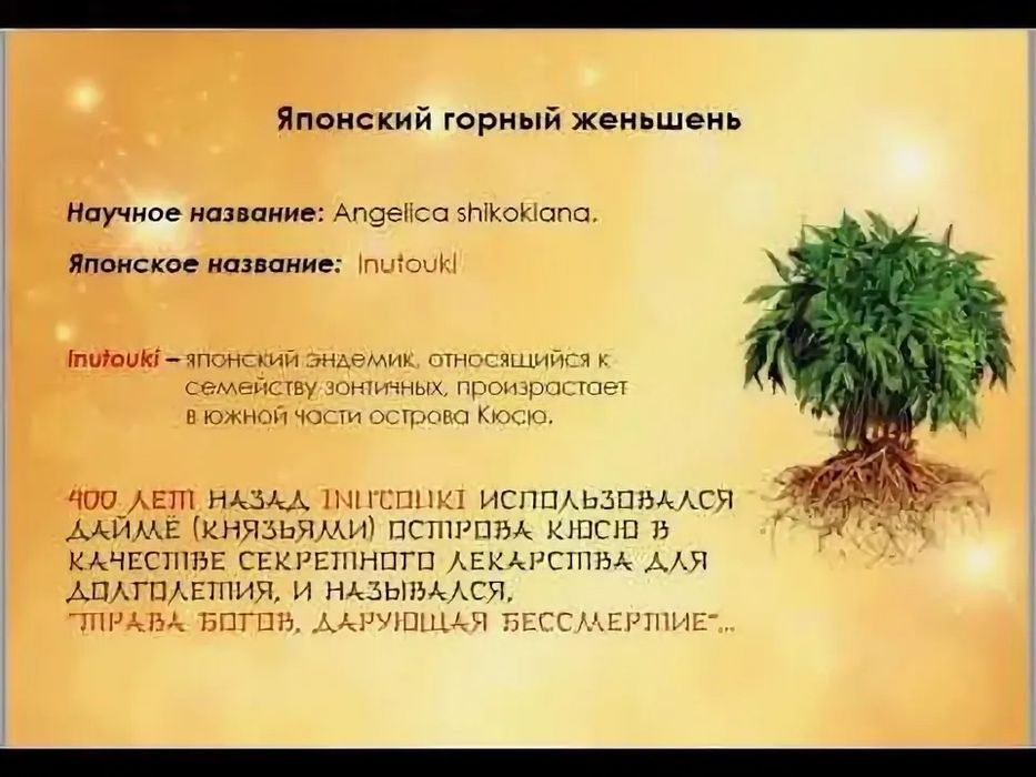 Рутлайф ROOTLIFE – укрепляет иммунную систему!