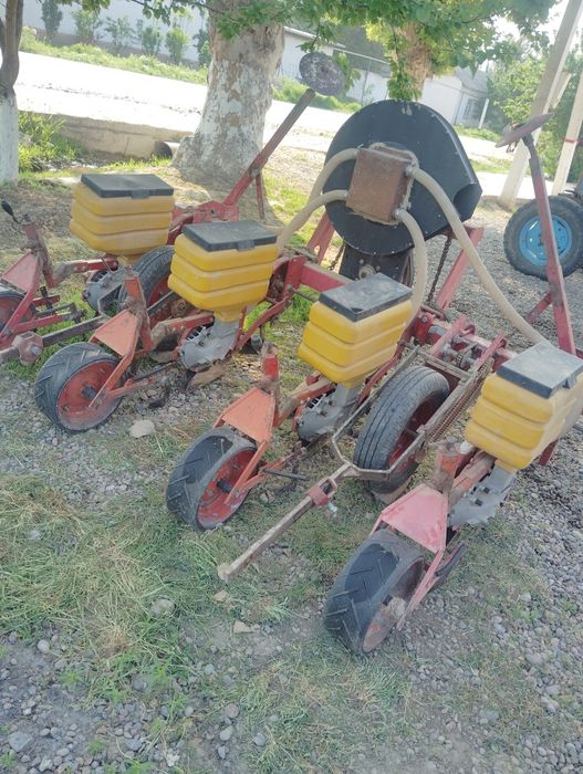 Даичи селка туркиа