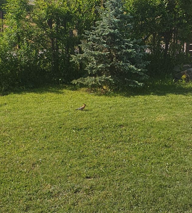 Casa la cheie. 150mp, la 16  km de Zalău