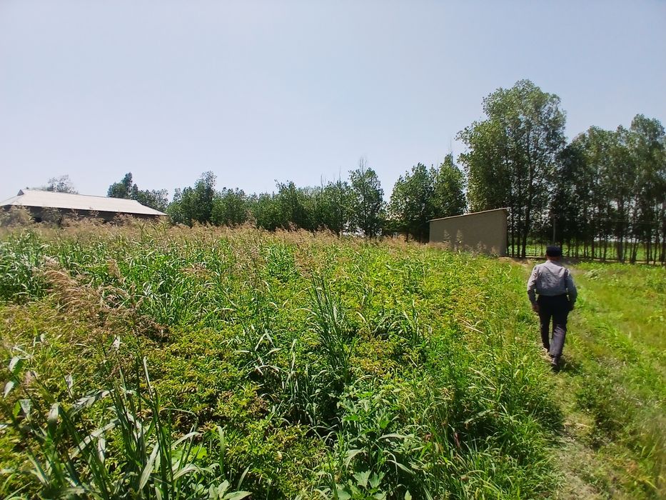 Yer sotiladi  srochniy